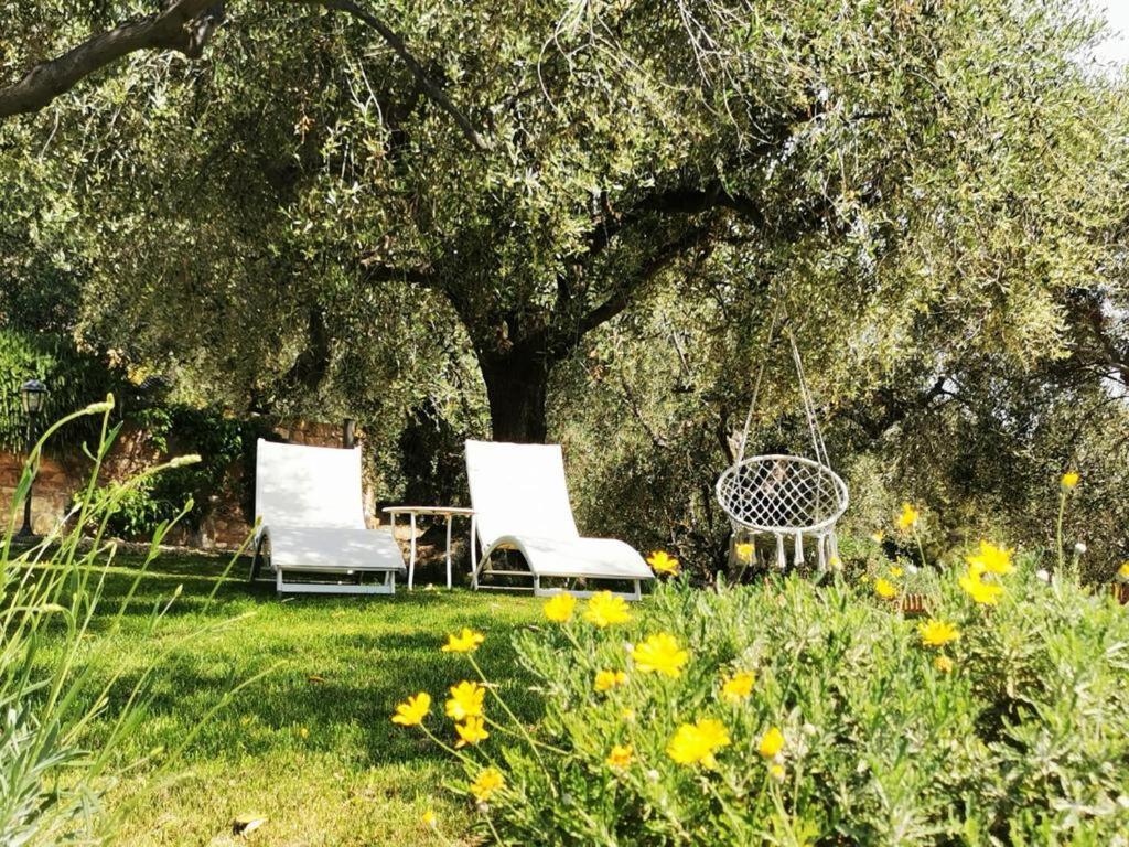 Agriturismo C'Era Una Volta カンポロッソ エクステリア 写真