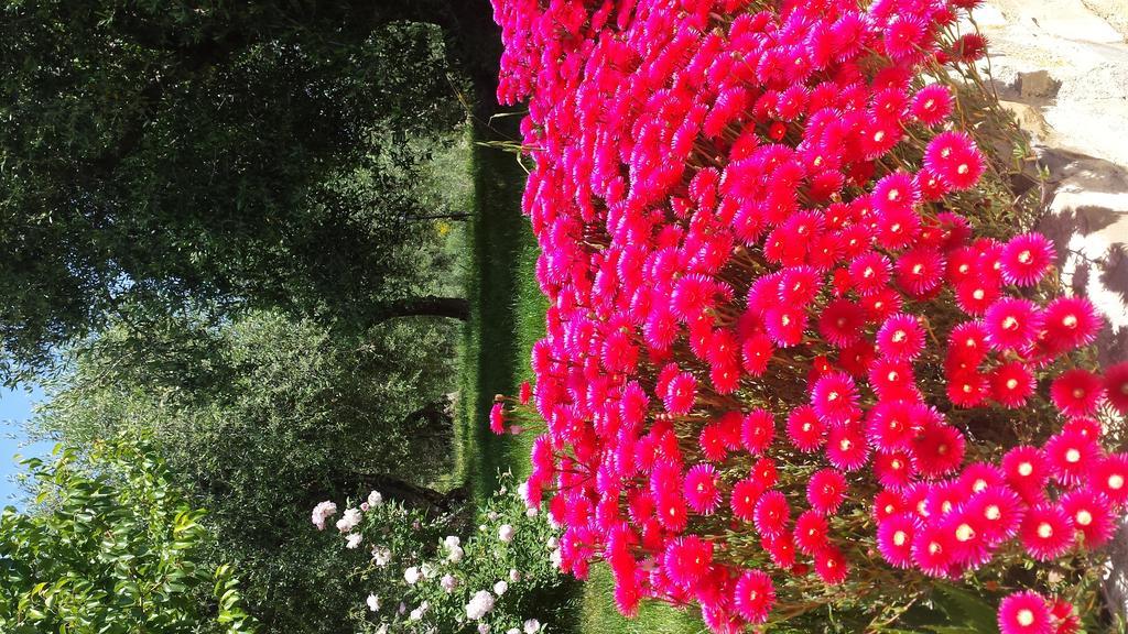 Agriturismo C'Era Una Volta カンポロッソ エクステリア 写真